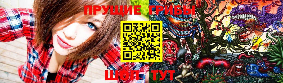 Мелеуз  Галлюциногенные грибы Psilocybine cubensis  Вход с VPN  Псилоцибиновые грибы ЛСД 